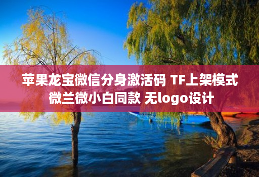 苹果龙宝微信分身激活码 TF上架模式 微兰微小白同款 无logo设计