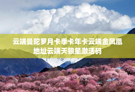 云端曼陀罗月卡季卡年卡云端金凤凰地址云端天狼星激活码