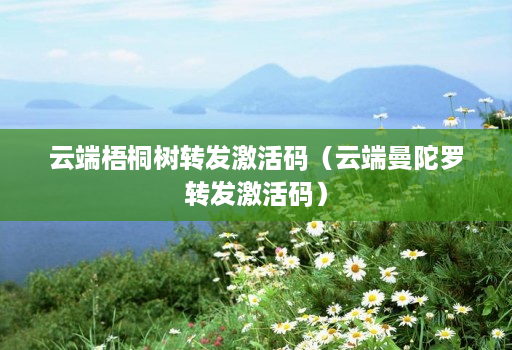 云端梧桐树转发激活码(云端曼陀罗转发激活码)