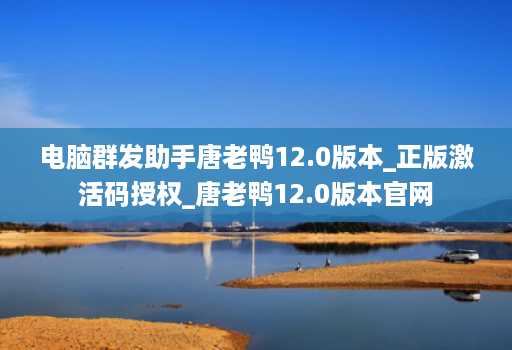 电脑群发助手唐老鸭12.0版本_正版激活码授权_唐老鸭12.0版本官网