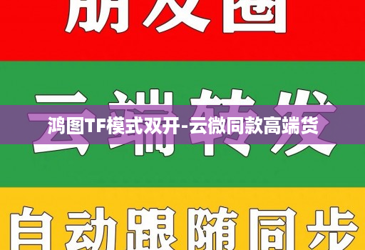 鸿图TF模式双开-云微同款高端货