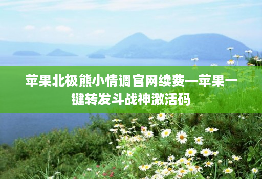 苹果北极熊小情调官网续费—苹果一键转发斗战神激活码