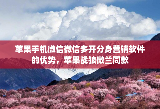 苹果手机微信微信多开分身营销软件的优势,苹果战狼微兰同款