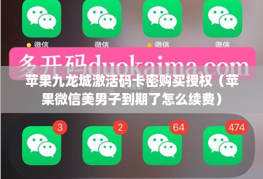 苹果九龙城激活码卡密购买授权(苹果微信美男子到期了怎么续费)