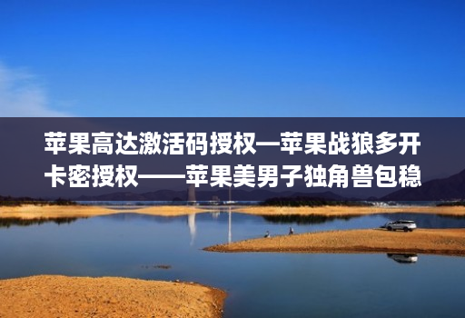 苹果高达激活码授权—苹果战狼多开卡密授权——苹果美男子独角兽包稳定iPad模式