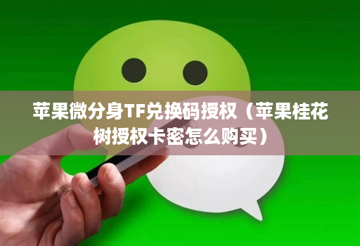 苹果微分身TF兑换码授权(苹果桂花树授权卡密怎么购买)