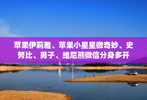 苹果伊莉雅、苹果小星星微奇妙、史努比、男子、维尼熊微信分身多开