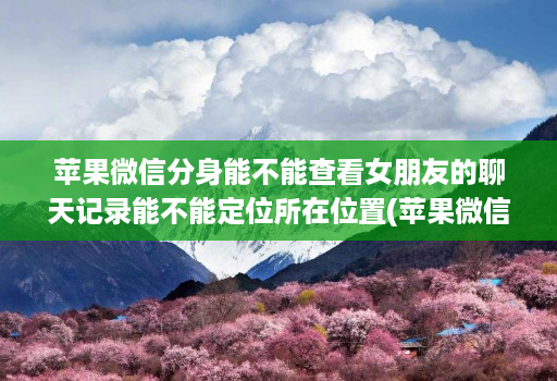 苹果微信分身能不能查看女朋友的聊天记录能不能定位所在位置(苹果微信分身会被盗号吗 )