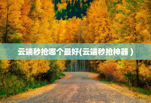 云端秒抢哪个最好(云端秒抢神器 )
