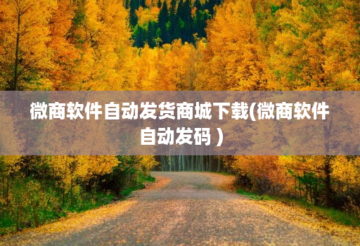 微商软件自动发货商城下载(微商软件自动发码 )