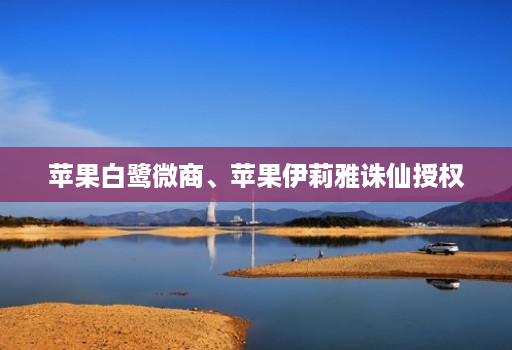 苹果白鹭微商、苹果伊莉雅诛仙授权