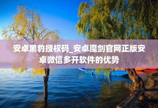 安卓黑豹授权码_安卓魔剑官网正版安卓微信多开软件的优势