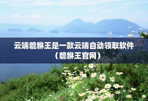 云端貔貅王是一款云端自动领取软件(貔貅王官网)