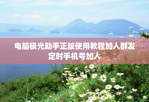 电脑极光助手正版使用教程加人群发定时手机号加人