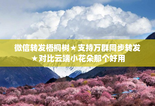 微信转发梧桐树★支持万群同步转发★对比云端小花朵那个好用