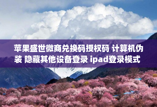 苹果盛世微商兑换码授权码 计算机伪装 隐藏其他设备登录 ipad登录模式 语音转发 一秒语