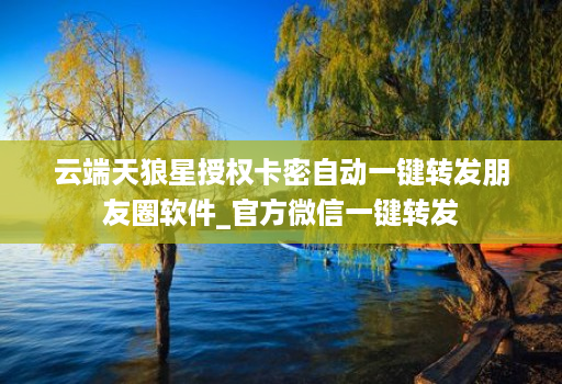 云端天狼星授权卡密自动一键转发朋友圈软件_官方微信一键转发