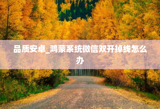 品质安卓_鸿蒙系统微信双开掉线怎么办