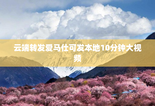 云端转发爱马仕可发本地10分钟大视频