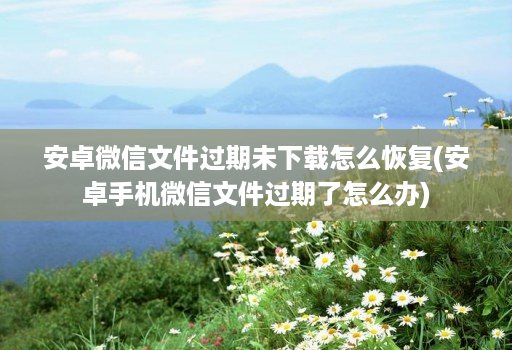 安卓微信文件过期未下载怎么恢复(安卓手机微信文件过期了怎么办)