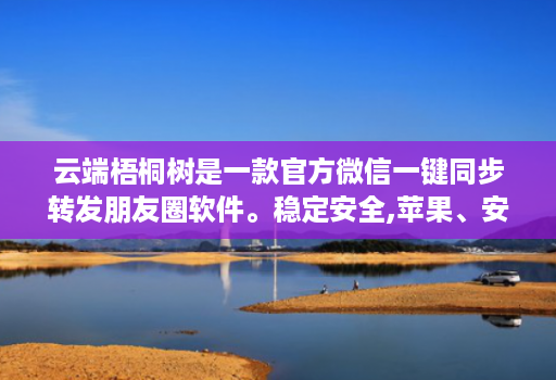 云端梧桐树是一款官方微信一键同步转发朋友圈软件。稳定安全,苹果、安卓、华为手机通用