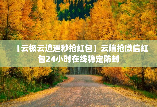 【云极云逍遥秒抢红包】云端抢微信红包24小时在线稳定防封