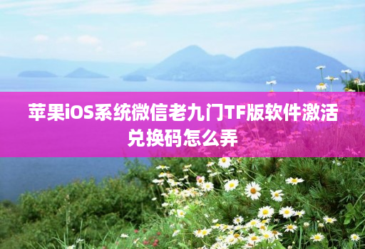 苹果iOS系统微信老九门TF版软件激活兑换码怎么弄