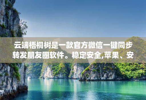 云端梧桐树是一款官方微信一键同步转发朋友圈软件。稳定安全,苹果、安卓、华为手机通用
