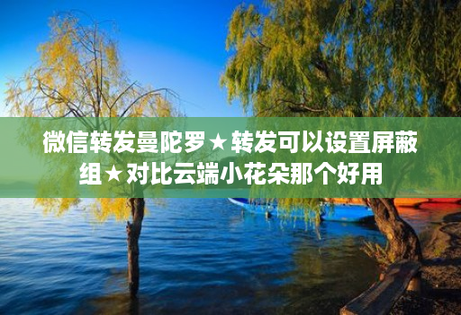 微信转发曼陀罗★转发可以设置屏蔽组★对比云端小花朵那个好用