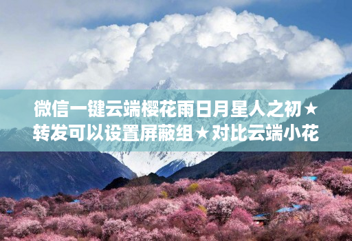 微信一键云端樱花雨日月星人之初★转发可以设置屏蔽组★对比云端小花朵那个好用