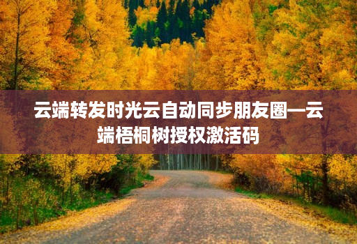 云端转发时光云自动同步朋友圈—云端梧桐树授权激活码