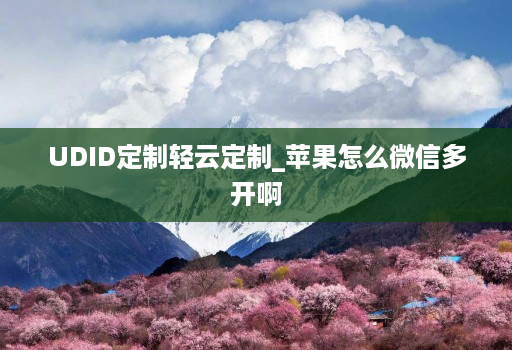 UDID定制轻云定制_苹果怎么微信多开啊
