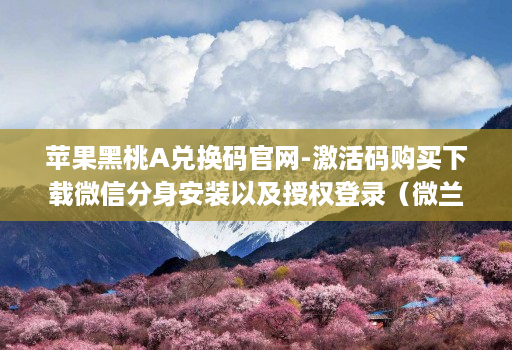 苹果黑桃A兑换码官网-激活码购买下载微信分身安装以及授权登录(微兰团队源包无logo)