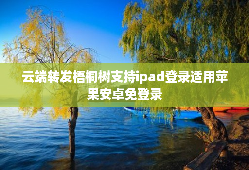 云端转发梧桐树支持ipad登录适用苹果安卓免登录