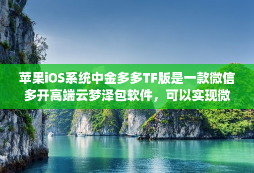 苹果iOS系统中金多多TF版是一款微信多开高端云梦泽包软件,可以实现微信分身功能