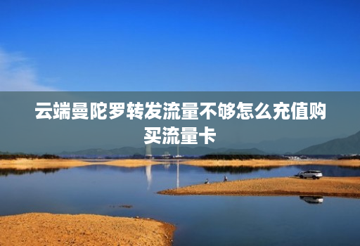 云端曼陀罗转发流量不够怎么充值购买流量卡