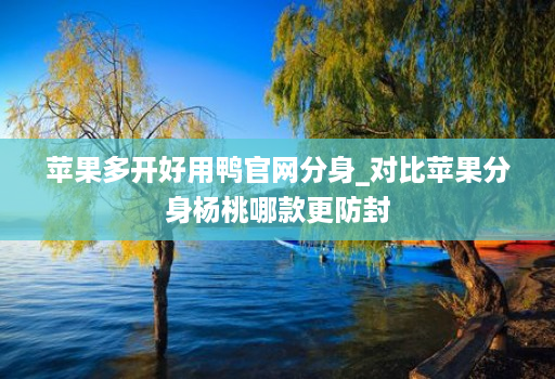 苹果多开好用鸭官网分身_对比苹果分身杨桃哪款更防封