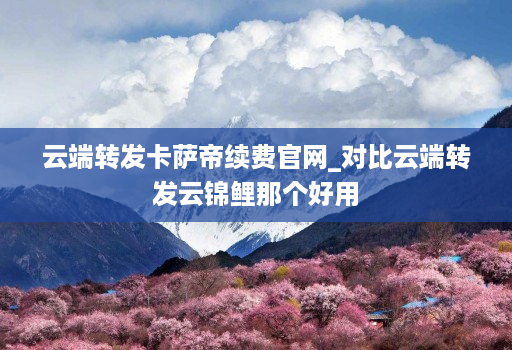 云端转发卡萨帝续费官网_对比云端转发云锦鲤那个好用
