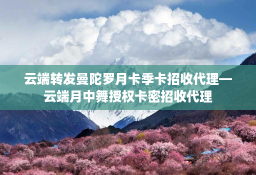 云端转发曼陀罗月卡季卡招收代理—云端月中舞授权卡密招收代理