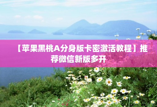 【苹果黑桃A分身版卡密激活教程】推荐微信新版多开