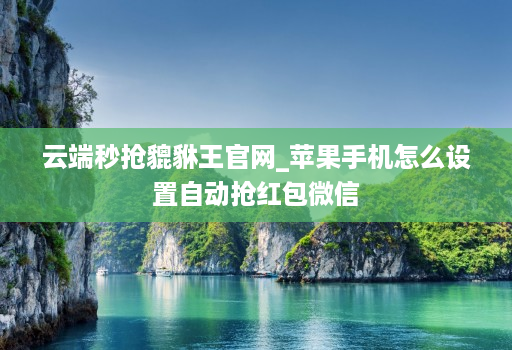 云端秒抢貔貅王官网_苹果手机怎么设置自动抢红包微信