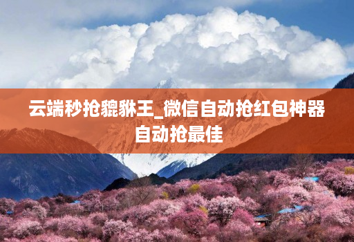 云端秒抢貔貅王_微信自动抢红包神器自动抢最佳