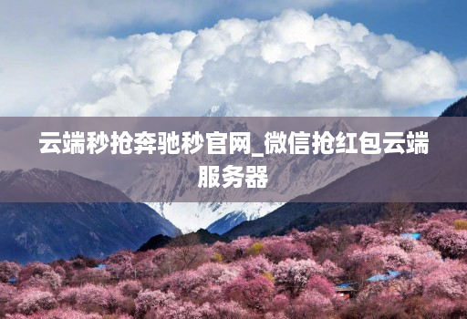 云端秒抢奔驰秒官网_微信抢红包云端服务器