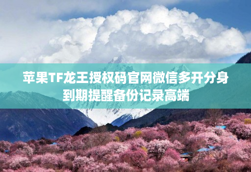 苹果TF龙王授权码官网微信多开分身到期提醒备份记录高端