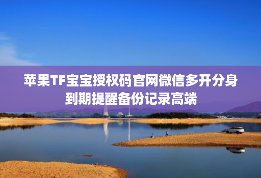 苹果TF宝宝授权码官网微信多开分身到期提醒备份记录高端