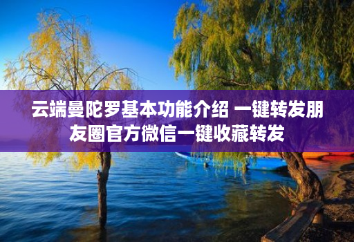 云端曼陀罗基本功能介绍 一键转发朋友圈官方微信一键收藏转发