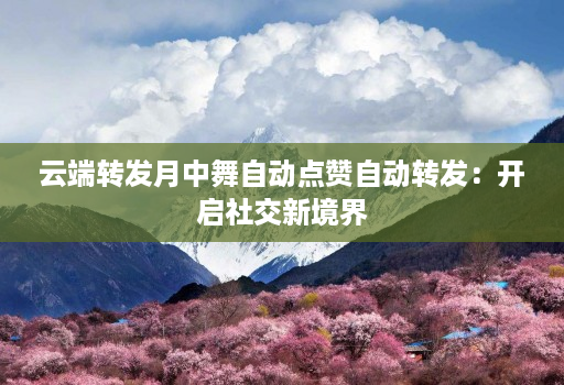 云端转发月中舞自动点赞自动转发:开启社交新境界