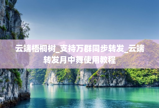 云端梧桐树_支持万群同步转发_云端转发月中舞使用教程