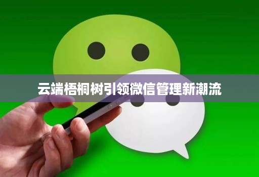 云端梧桐树引领微信管理新潮流