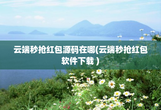 云端秒抢红包源码在哪(云端秒抢红包软件下载 )